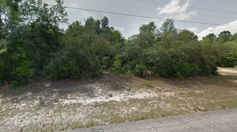 2728 W Forbes Pl Place, Citrus Springs, FL 34434