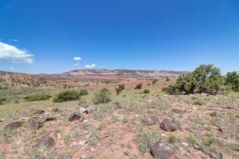 Lot #3 Las Animas de Abiquiu, Youngsville, NM 87064