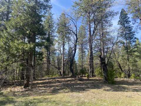 000 Arrow Point Drive, Oak Run, CA 96069