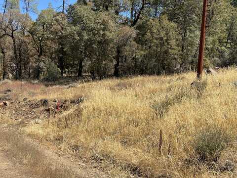 000 Arrow Point Drive, Oak Run, CA 96069
