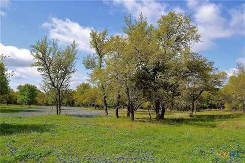 1290 County Road 4765, Kempner, TX 76539
