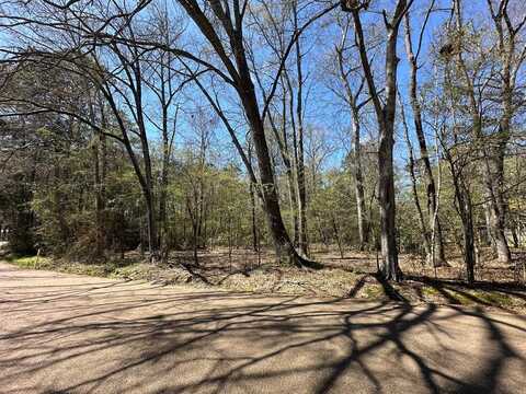 TBD Noble, Brookhaven, MS 39601