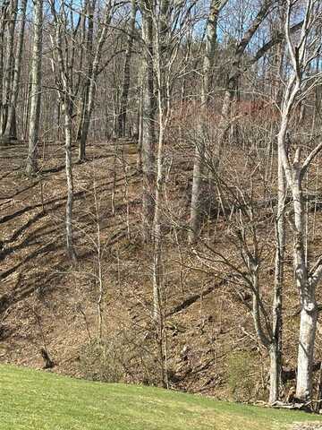 Tbd Forest Hills Drive, Pounding Mill, VA 24637