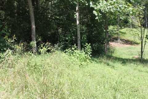 Tract 22 Capri Avenue, Abingdon, VA 24211