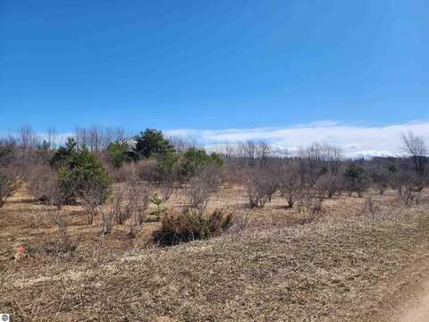 Dungannon Lane, Ellsworth, MI 49729
