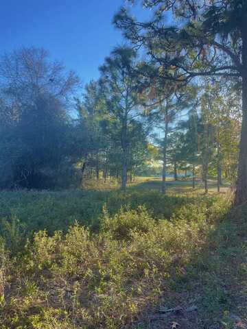 269 Royal Tern Way, Carrabelle, FL 32322