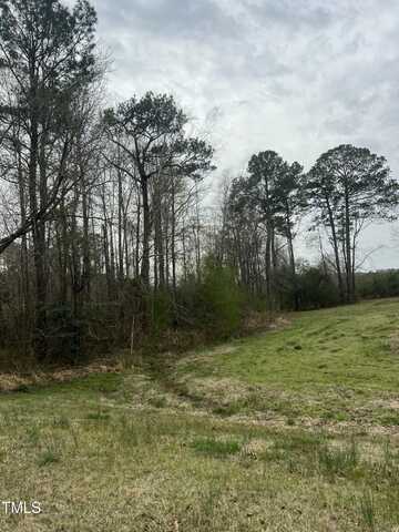 0 Trouble Road, Willow Springs, NC 27592