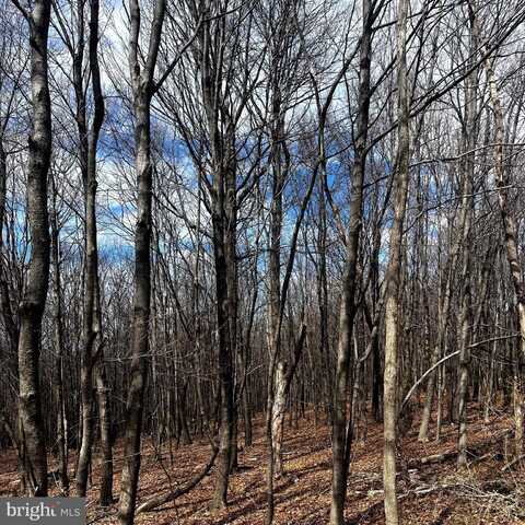 12215 BARBERS HILL ROAD, FROSTBURG, MD 21532