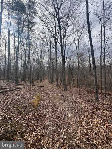 88 WAKEMAN DR, AUGUSTA, WV 26704