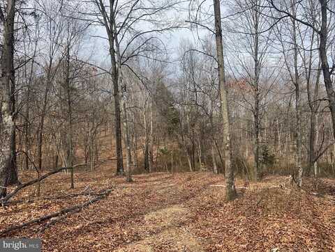21 GOLD NUGGET RD, AUGUSTA, WV 26704