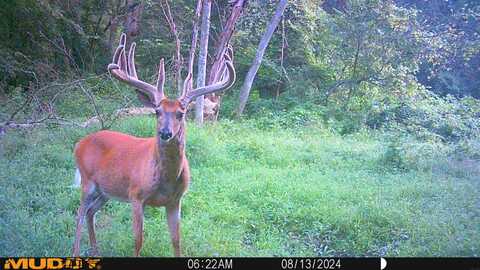 Fox Farm Rd., New Albin, IA 52160