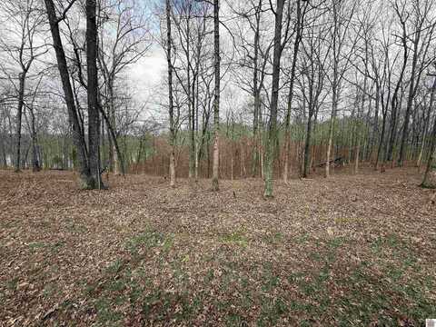 Lot #15 Waterfowl Lane, Murray, KY 42071