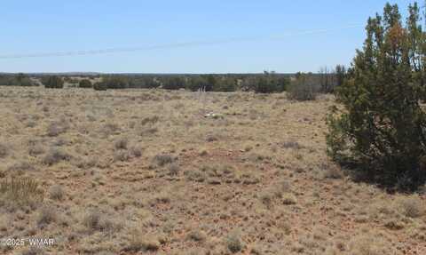 5999 Mesa View Lot 149 Drive, Heber, AZ 85928