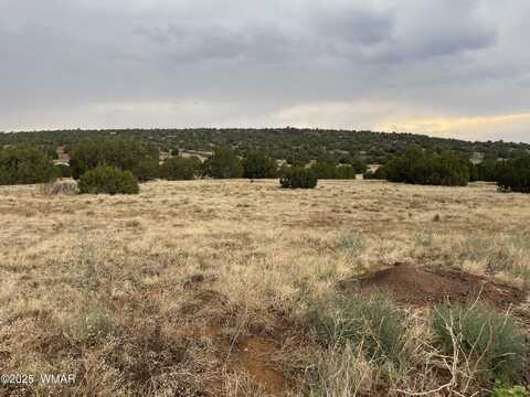 67 Hickory Lane, Concho, AZ 85924