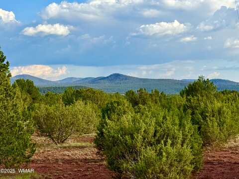 180 Co Rd 3148 Lot #1 2.1 Acres, Vernon, AZ 85940