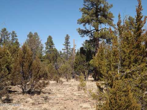 0004x Parcel 2 Section 31, Overgaard, AZ 85933