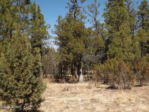 0004y Parcel 1 Section 31, Overgaard, AZ 85933