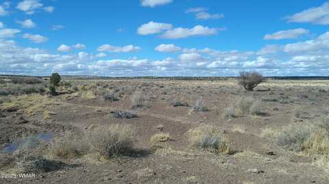 Tbd Woodland Valley Ranch, Saint Johns, AZ 85936