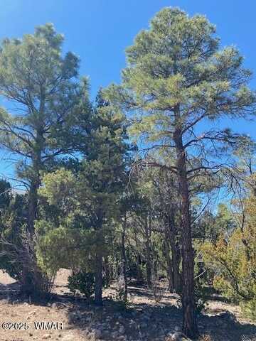 2600 N Eagle View Circle, Show Low, AZ 85901