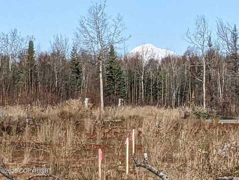 47345 S Hawk Avenue, Willow, AK 99688