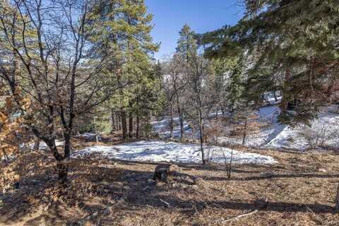 0 Pigeon Road, Big Bear Lake, CA 92315