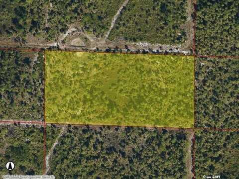 FRANGIPINI, NAPLES, FL 34117