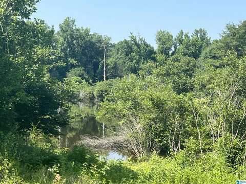 0 BLOSSOM DRIVE, QUINTON, AL 35130