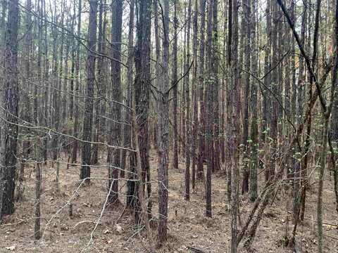 undefined, Fordyce, AR 71742