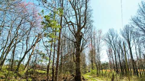 0 County Road 492, Henagar, AL 35978