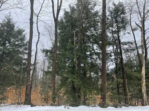 L93 Lois Lane, Lake Luzerne, NY 12846