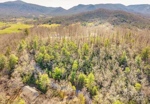 99999 Pheasant Ridge Road, Fairview, NC 28730
