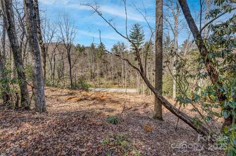 99999 Christa Lane unit: 3, Arden, NC 28742
