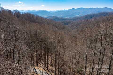 Halfmoon Ridge, Leicester, NC 28748