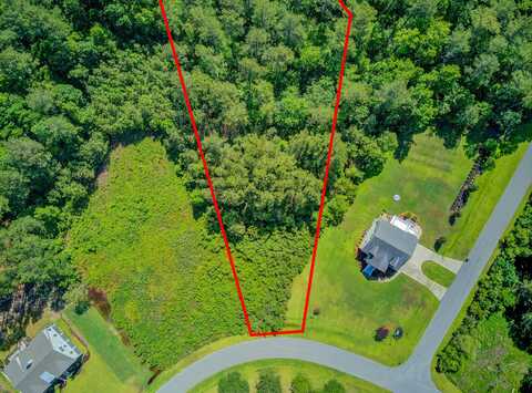 1319 Wood Sorrel Drive, Moncks Corner, SC 29461