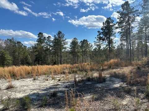 565 Susie Circle, Cameron, NC 28326