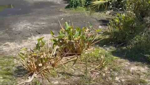 undefined, Lehigh Acres, FL 33936