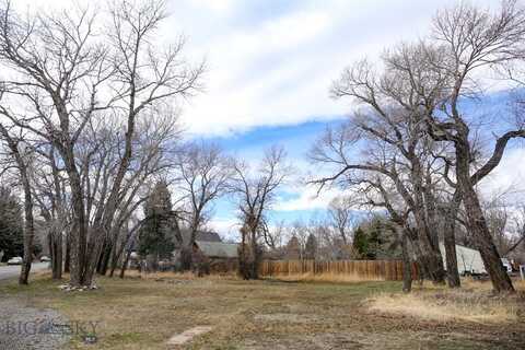 Tbd E Lewis Street, Livingston, MT 59047