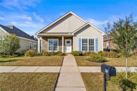 259 Galaxy Street, Fairhope, AL 36532