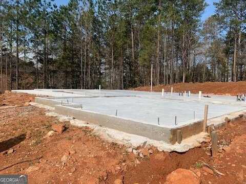 3048 BRIGHTON, Conyers, GA 30094