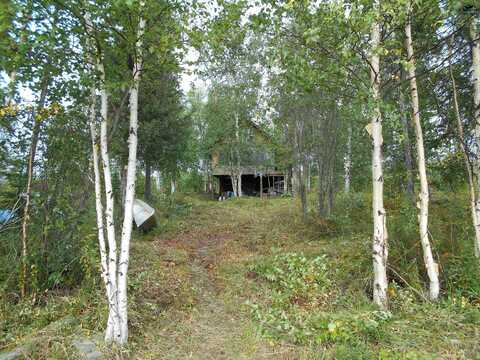 NHN Becky Lake, Manley, AK 99754