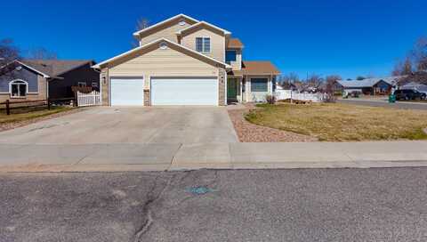 203 Elderberry Drive, Fruita, CO 81521
