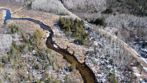 37 Acres PORKY LN, Lily, WI 54491