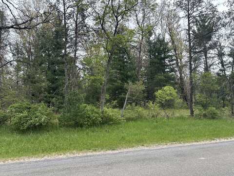 00 S Forman Road, Idlewild, MI 49642
