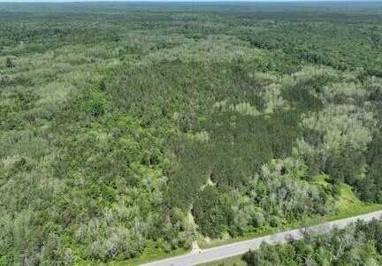 00 V/L 13 Mile Rd., Bitely, MI 49309