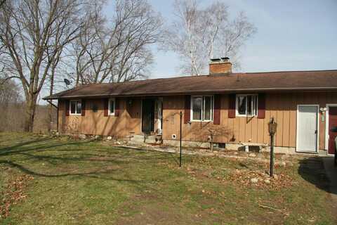 1029 Azaleamum Drive, Three Rivers, MI 49093