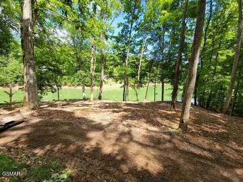 1450 Old Chisholm Trl Trail, Dandridge, TN 37725