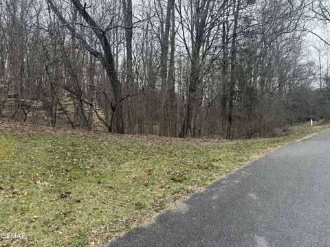 Lot 4 Pilgrim Rd., Dandridge, TN 37725