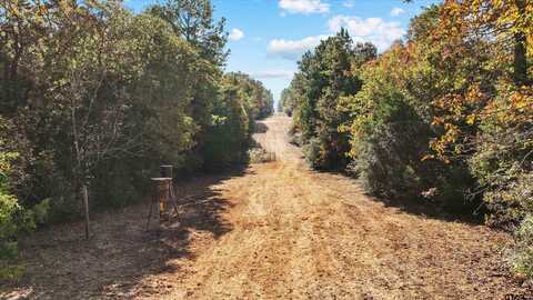 TBD CR 2138, Henderson, TX 75652
