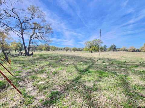 LOT 7 MANDENA RD, Gilmer, TX 75644