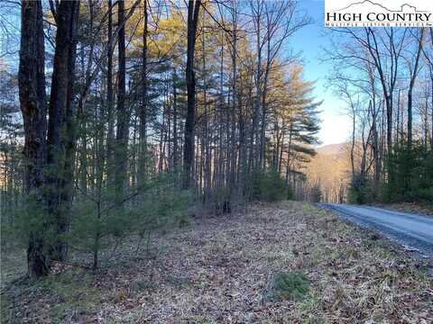 Tbd (lots 74 & 75) Forest Hill Drive, Sparta, NC 28675